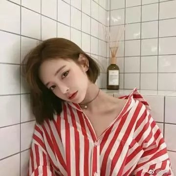 维克多的秘密森林