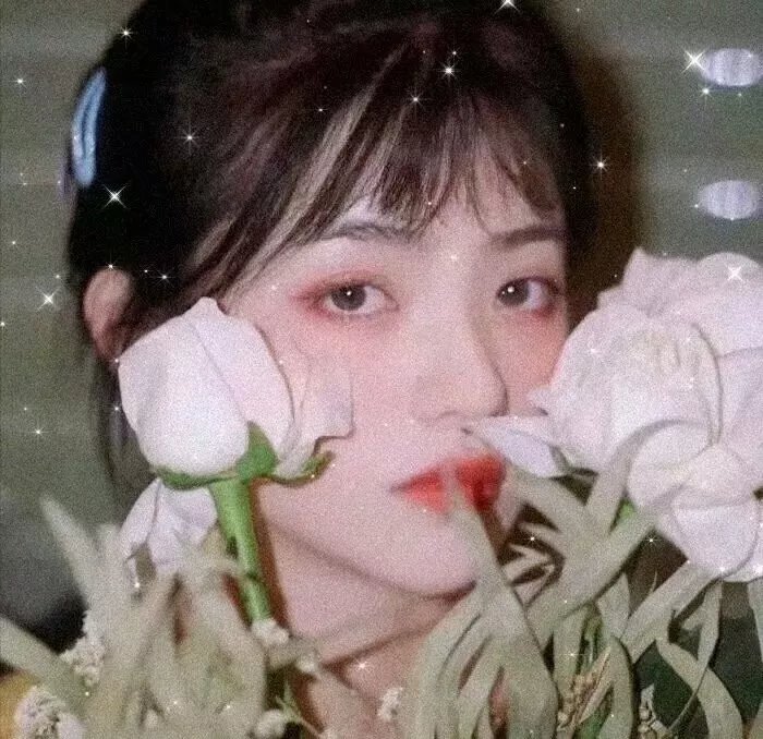这个高中没有鬼